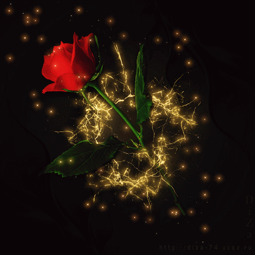 ورد متحرك احمر 2019,ورد متحرك ولامع,ورد متحرك جميل,ورود